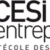 CESi entreprises