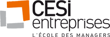 CESi entreprises